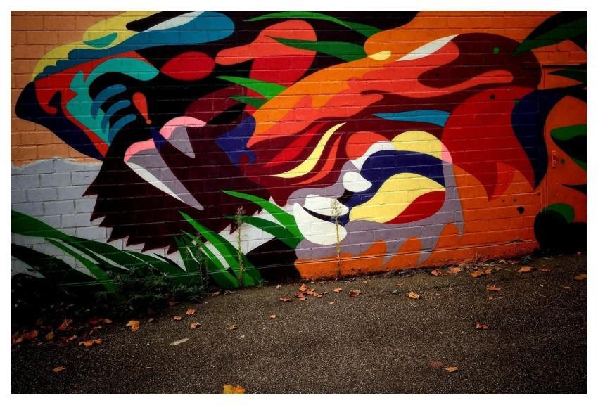 Street Art Art Graffiti Painting