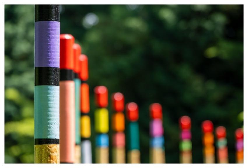 Wooden Sticks Rods Colorful Poles Multicoloured