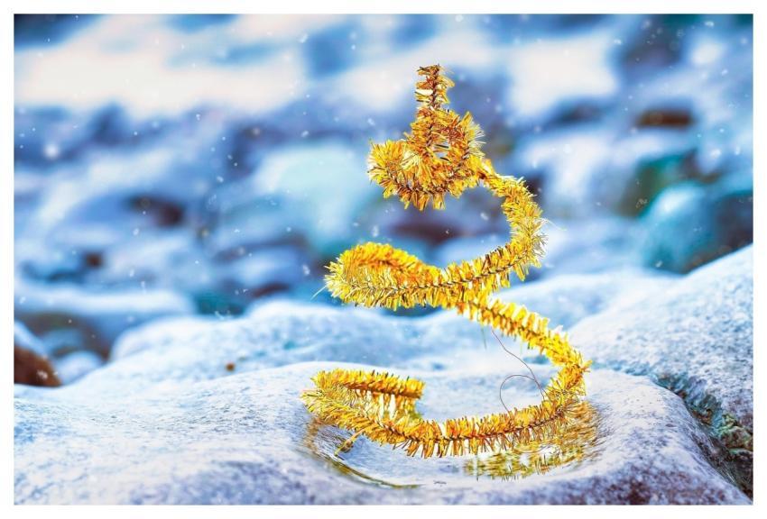 Christmas Winter Free Background Cool Backgrounds