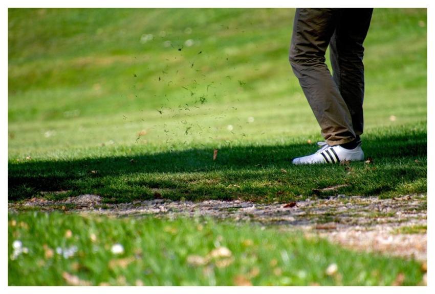 Golf Sport Leisure Golfer