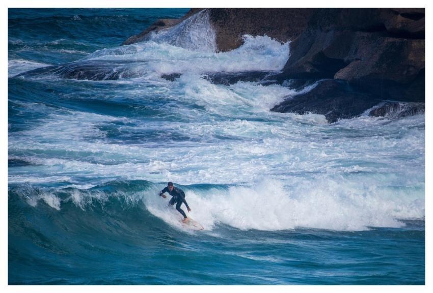 Surfing Waves Sport Surfer