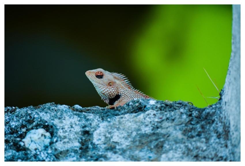 Abstract Blue Color Abhinavpatil2020