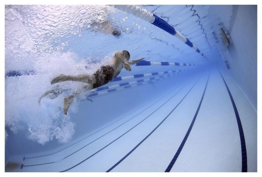 Swimmers Swimming Pool Olympic Pool