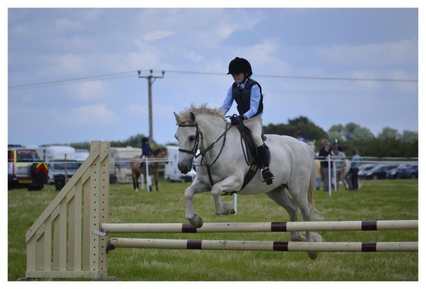 White Horse Jumping Child White