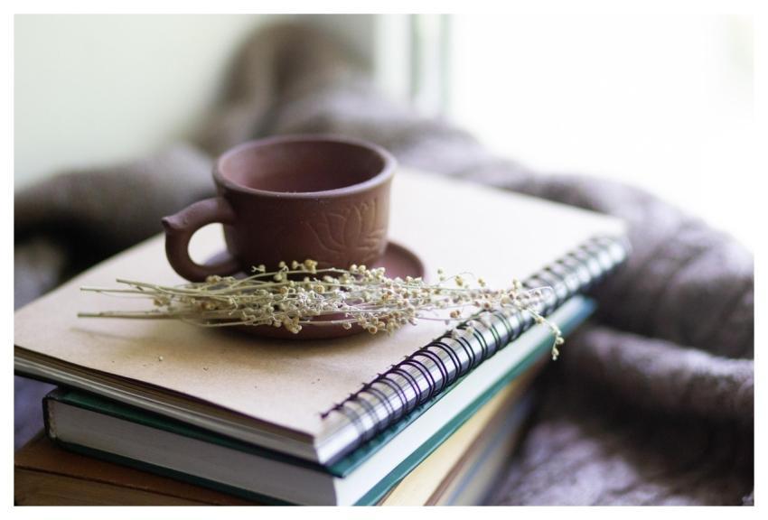 Books Cup Herbs Wormwood