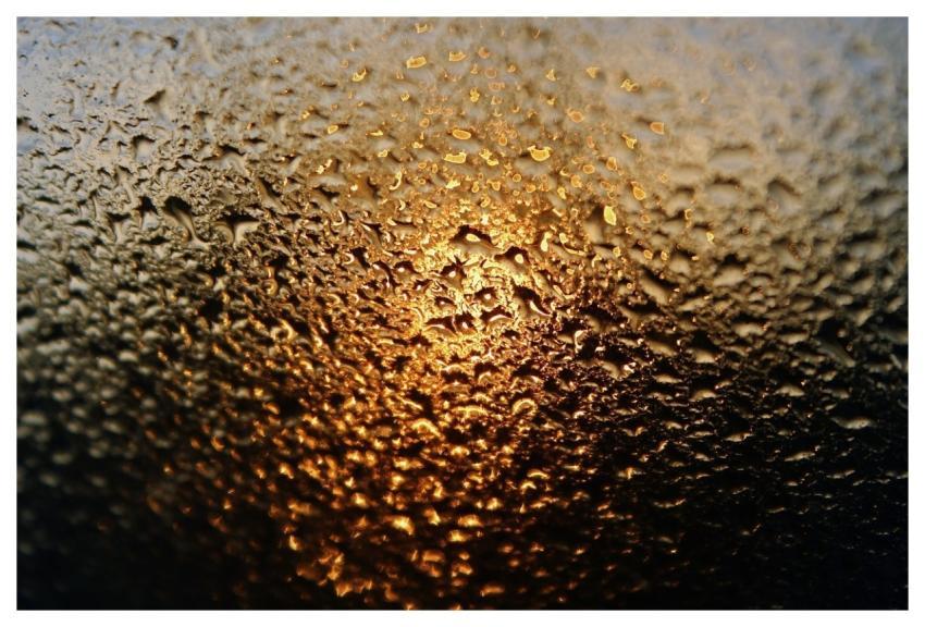 Window Glass Water Drops