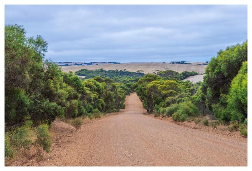 Nature Travel Exploration Outdoors