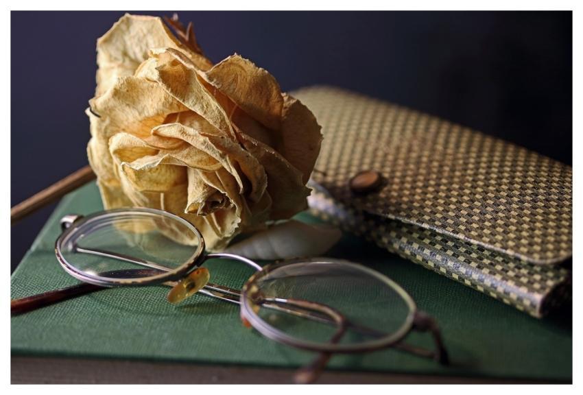 Hardcover Book Reading Glasses Spectacles Retro Ca