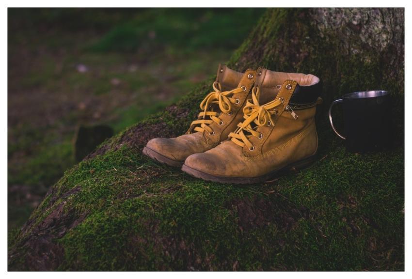 Boots Shoes Moss Nature