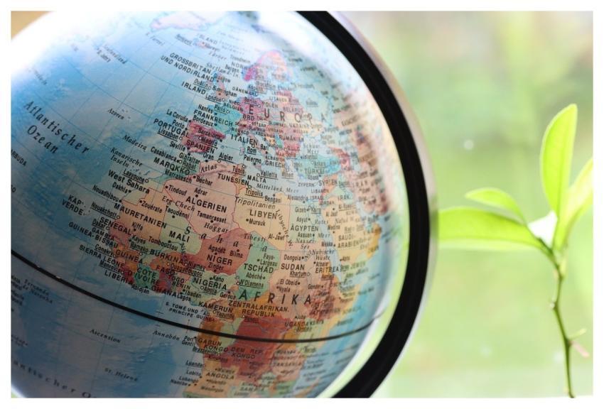 Africa Growth Development Plant