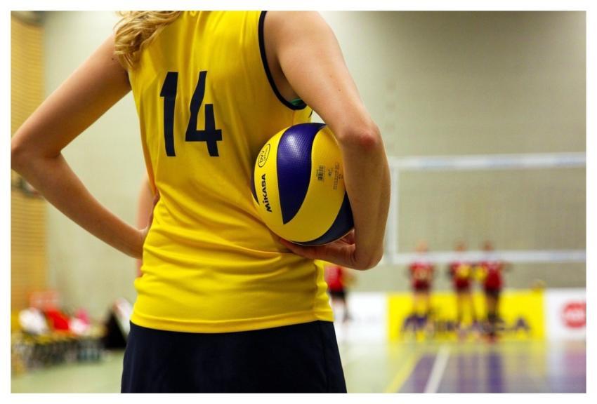 Volleyball Ball Player Team