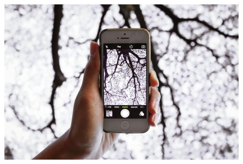 Abstract Photo Iphone Photography Pexels