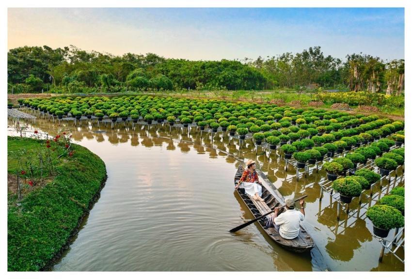 Farm Vietnam Nature Landscape