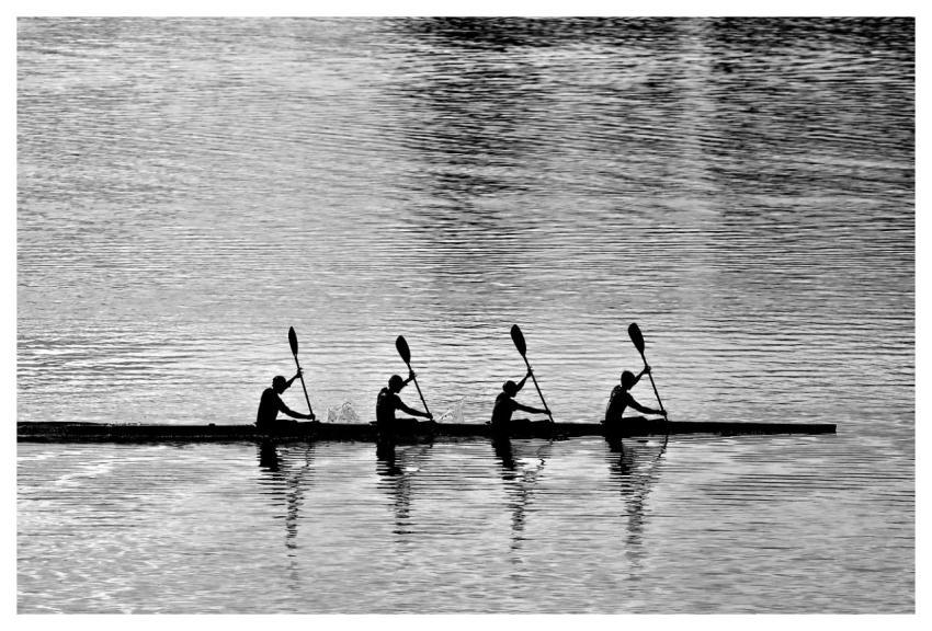 Rowing Quartet Water Sport Leisure