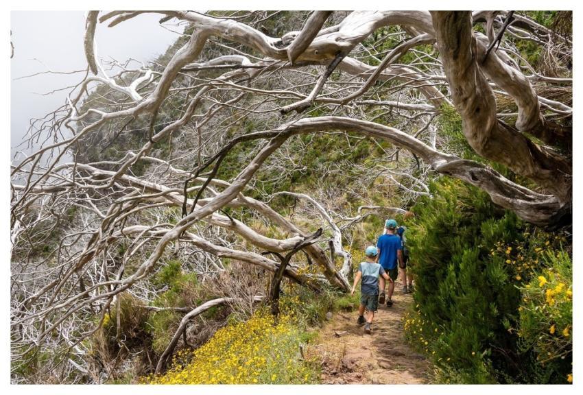 Hike Nature Travel Adventure