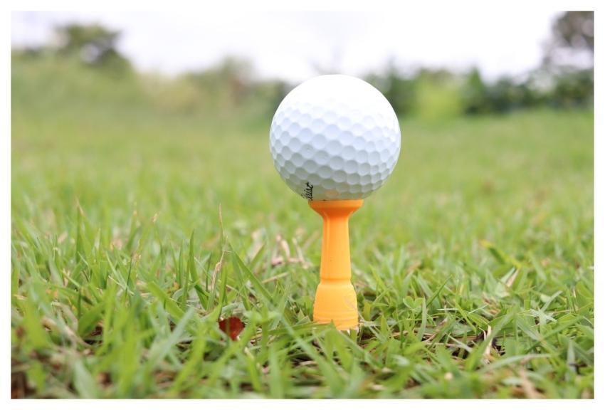 Golf Tee Sports 3854Nam