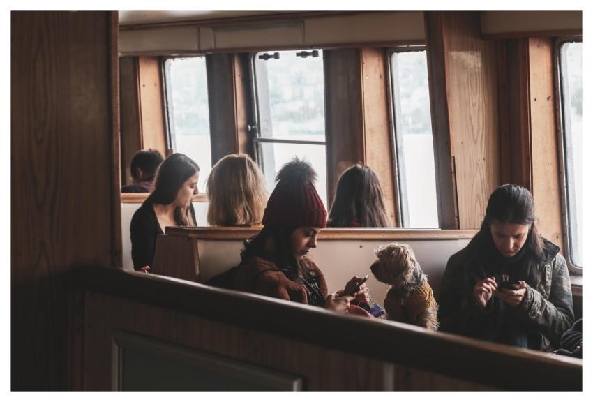 Passengers Dog Nature Travel