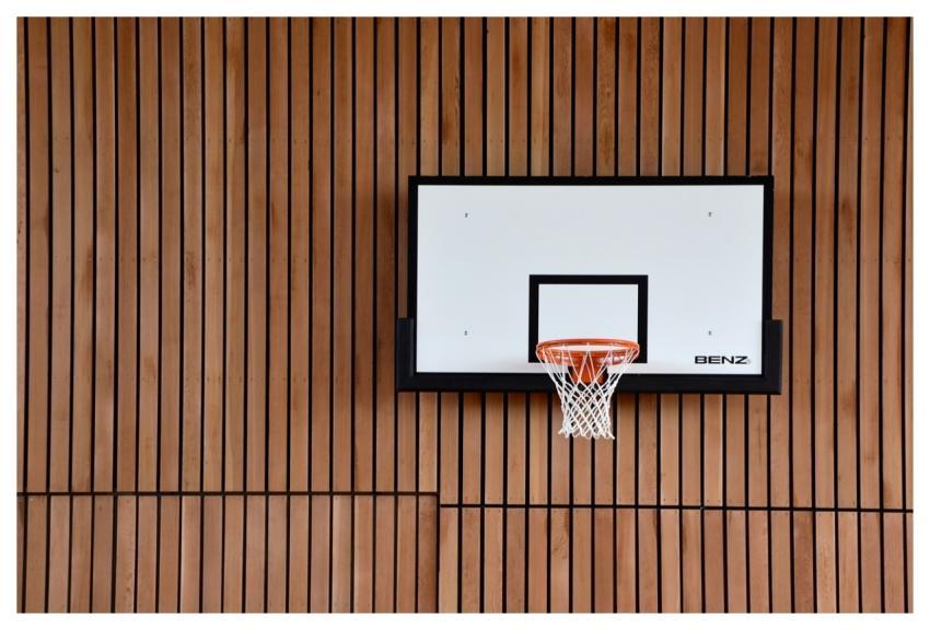 Basketball Basket Basketball Hoop Basketball Ring