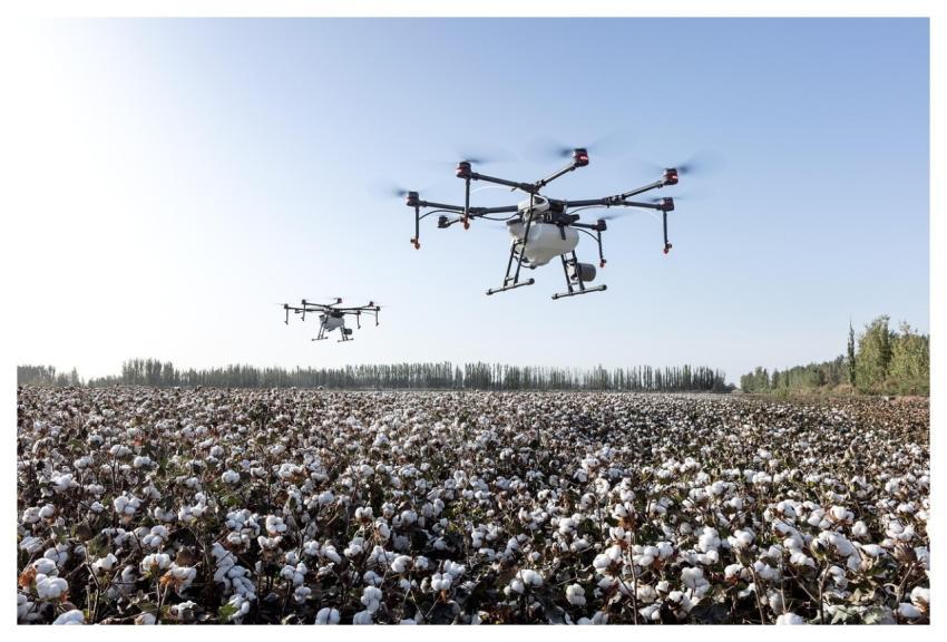 Agriculture Drone Dji Agriculture Dji