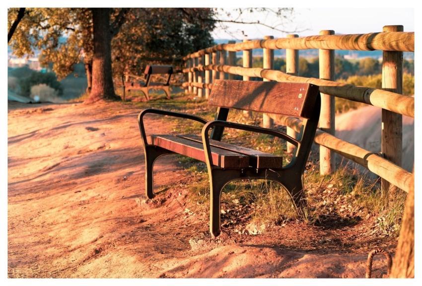 Sunset Landscape Trees Seat