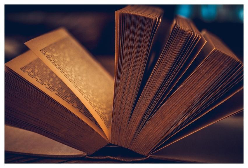 Book Book Pages Pages Read