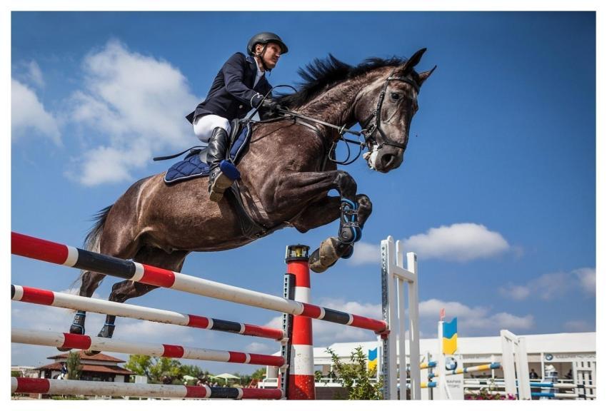 Horse Rider Show Jumping Bounce