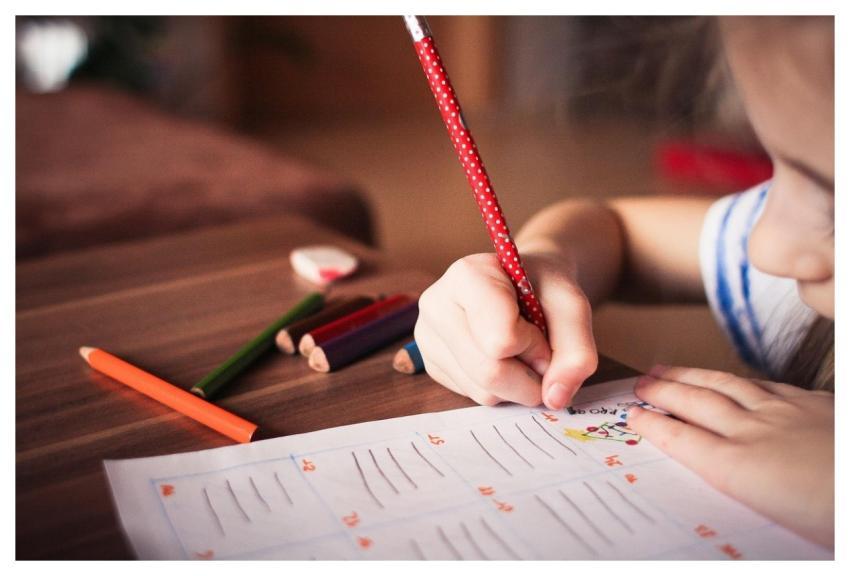 Child Kid Play Study