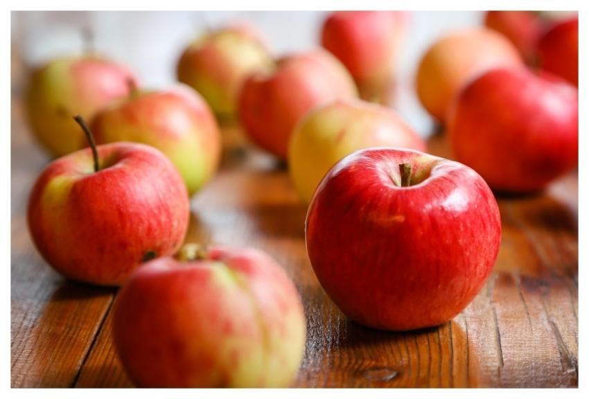 Harvest Fruit Apple Ripe