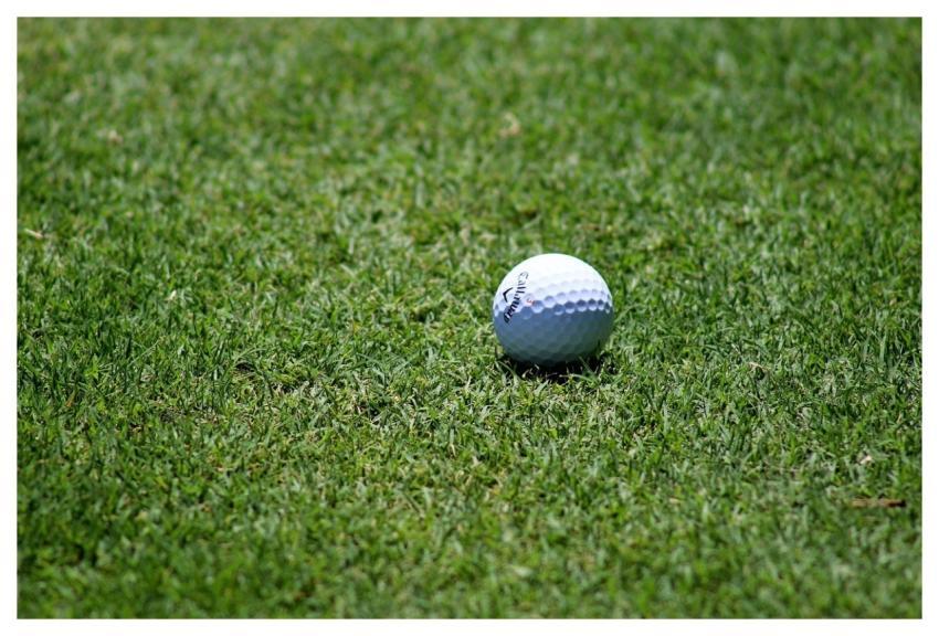 Golf Golf Ball Golf Course Grass