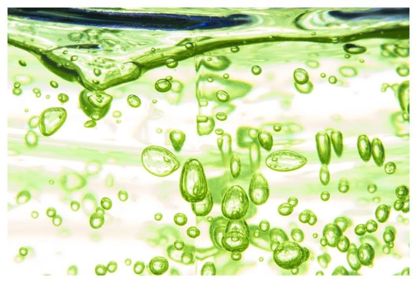 Abstract Glass Color Image Green Abstract