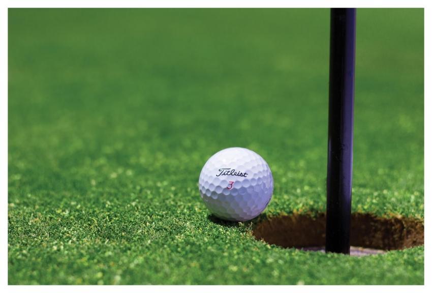 Golf Golf Ball Hole Golf Course