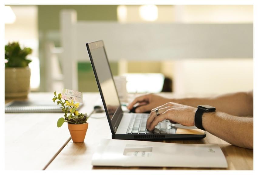 Online Connection Laptop Plant