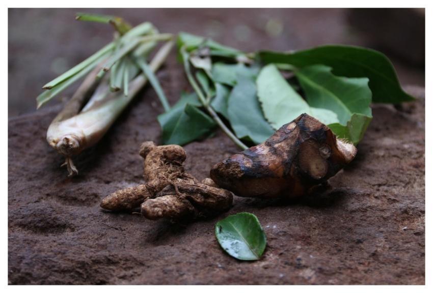Food Herbs Pepper Cooking