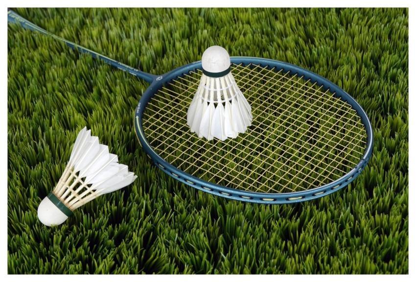 Badminton Sport Shuttlecocks Racket