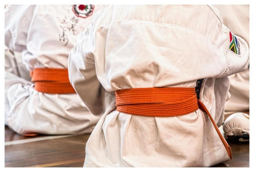 Karate Martial Arts Sport Belt