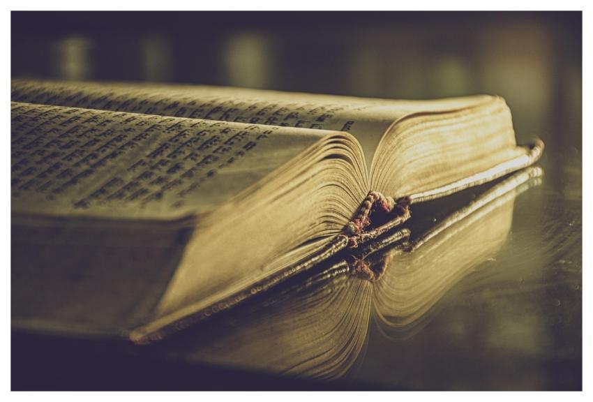 Antique Yellow Pages Chapter Open Book