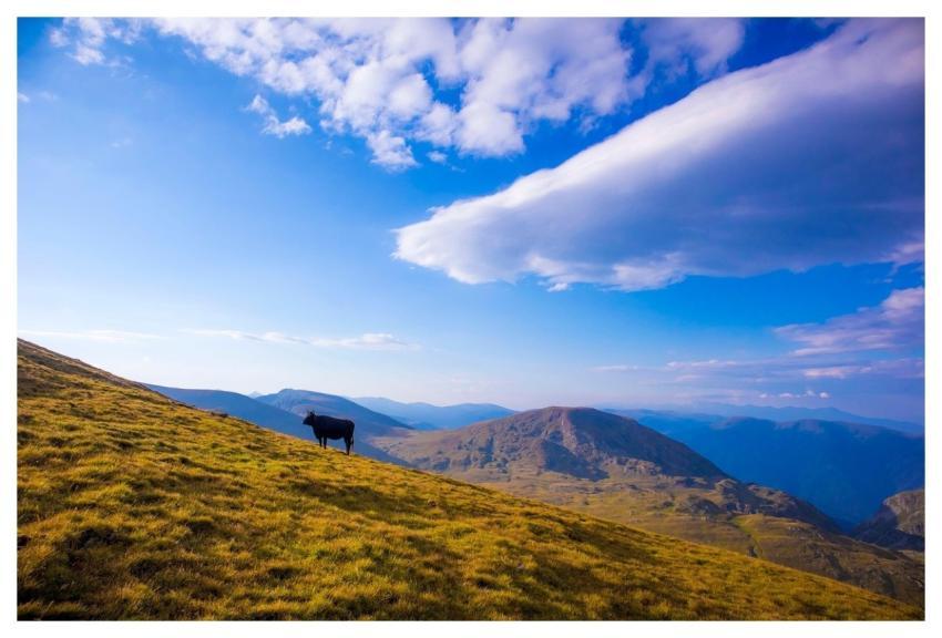 Adventure Camping Trekking Forest