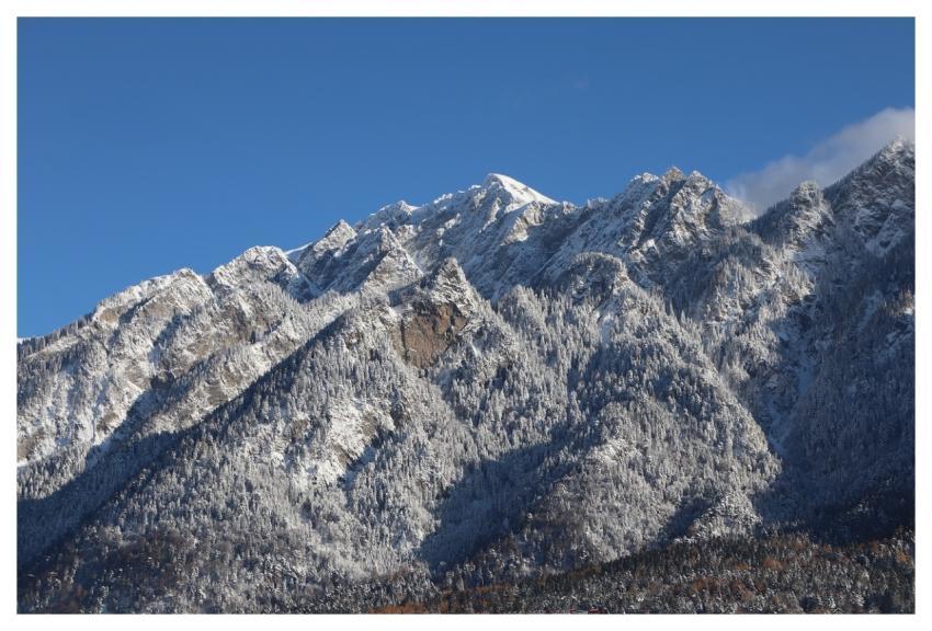 Mountain Snow Forest Winter