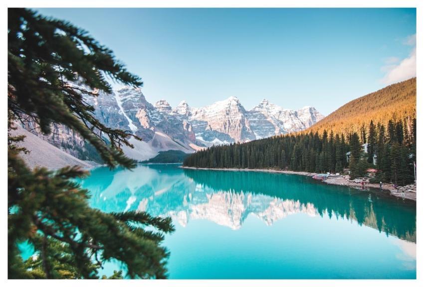 Mountain Lake Trees Forest