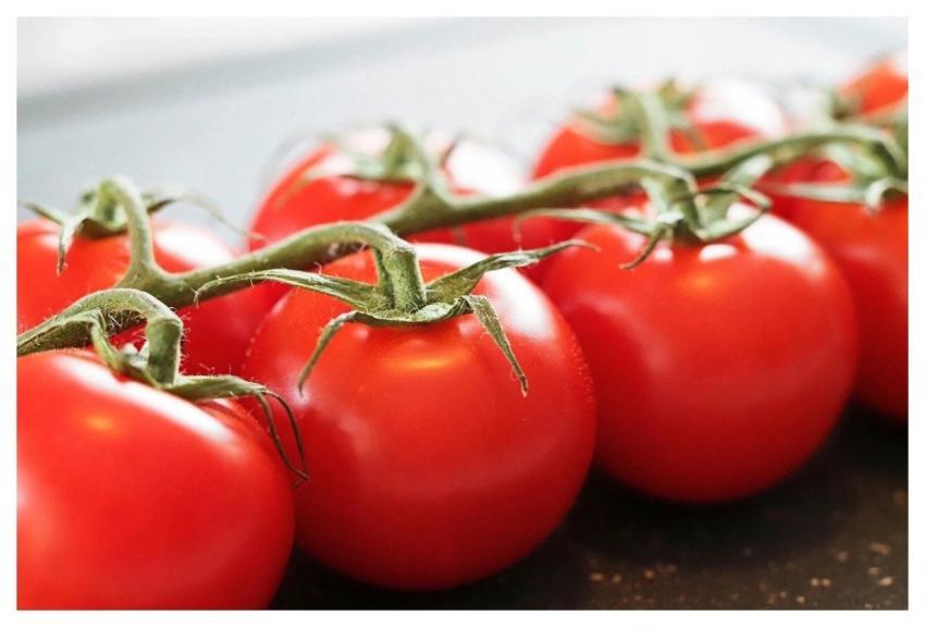 Tomatoes Vegetables Fresh Healthy