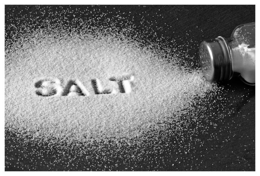 Salt Salt Shaker High Blood Pressure Kidney Diseas