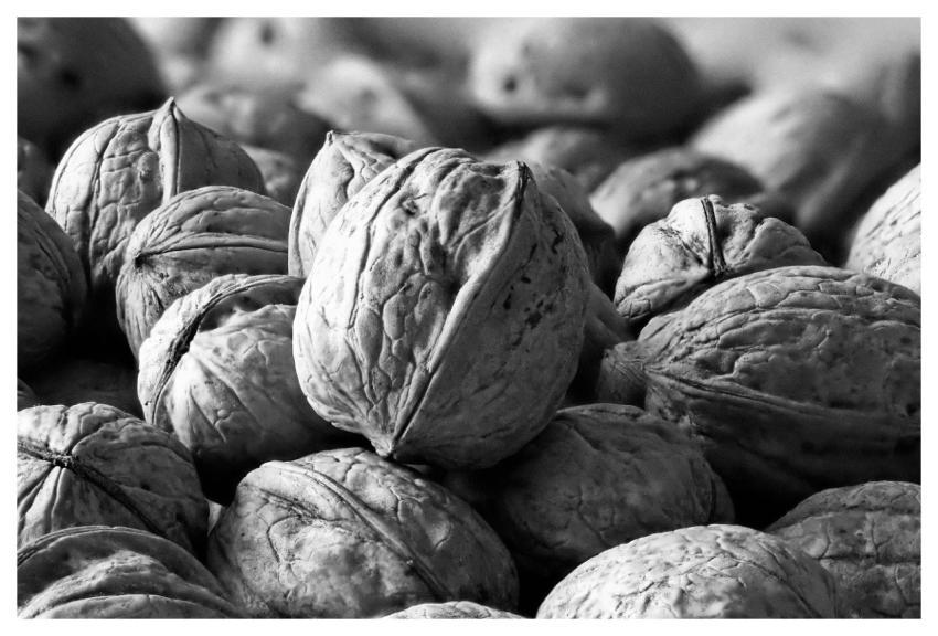 Nuts Walnuts Texture Background