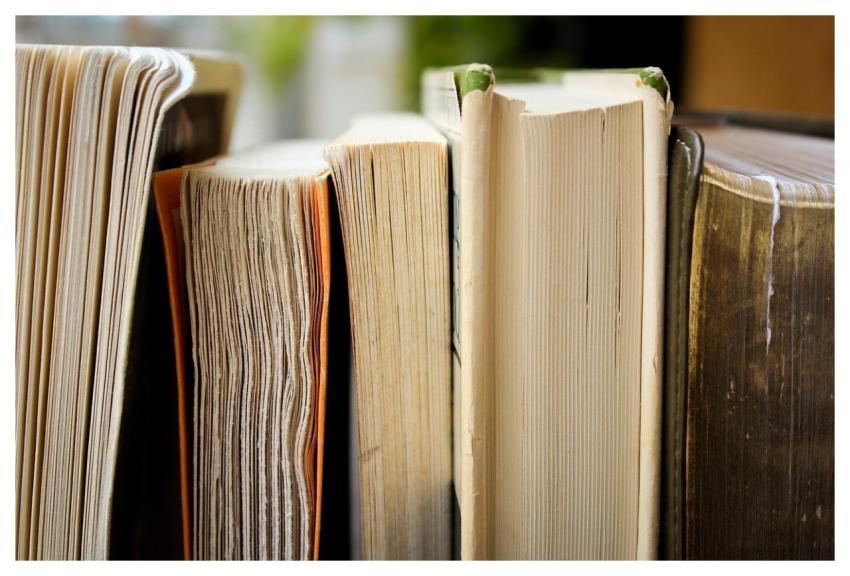 Christmas Background Books Education Library