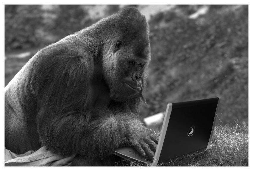 Monkey Laptop Computer Technology
