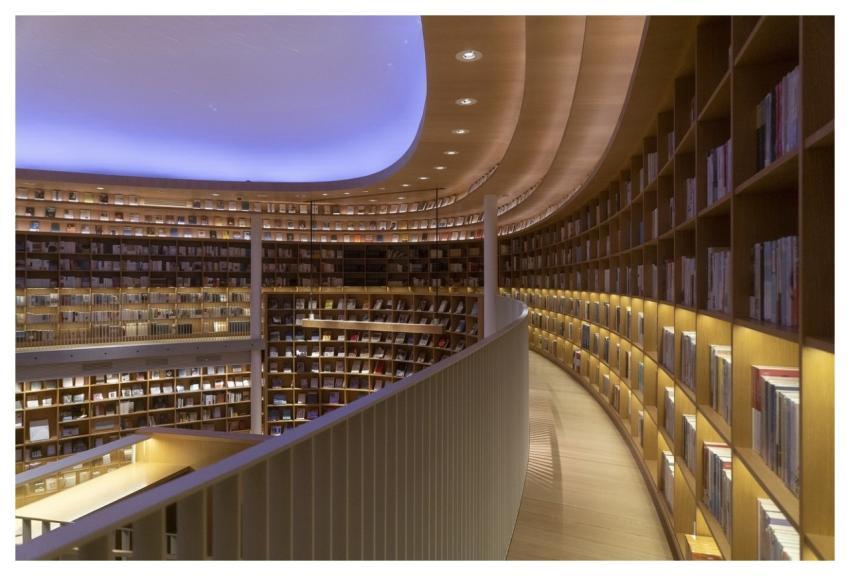 Books Shelves Book Store Library