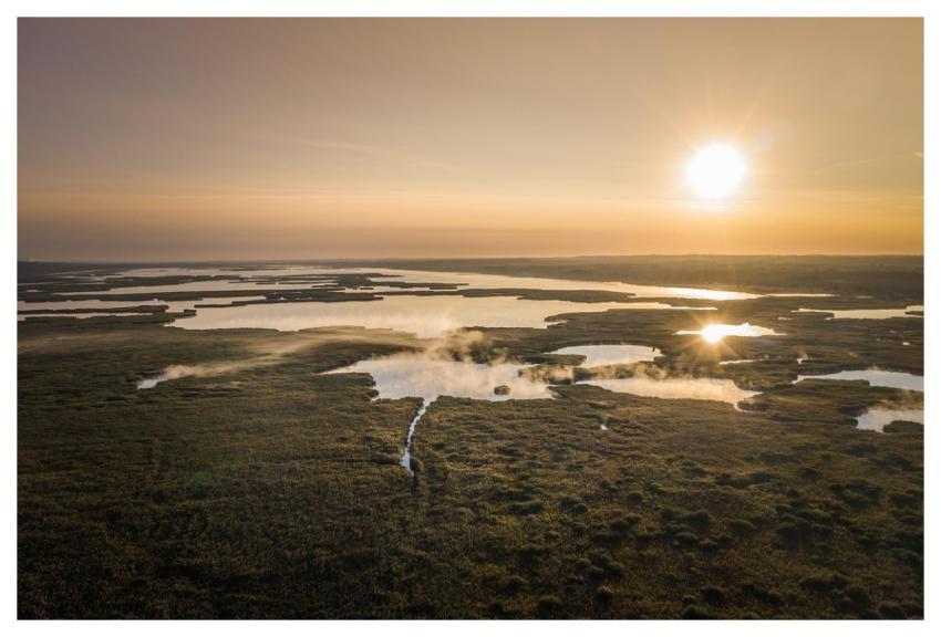 Lake Moss Grass Grassland