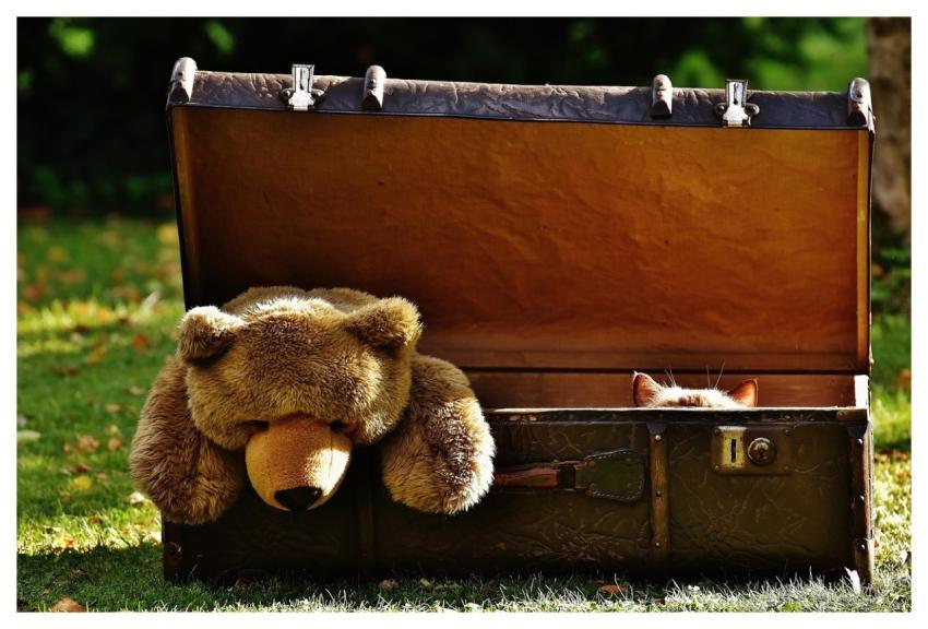 Suitcase Antique Teddy Cat