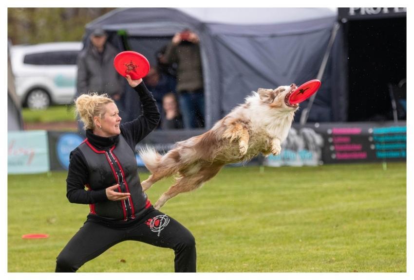 Frisbee Dogfrisbee Pet Disc Mastiffs