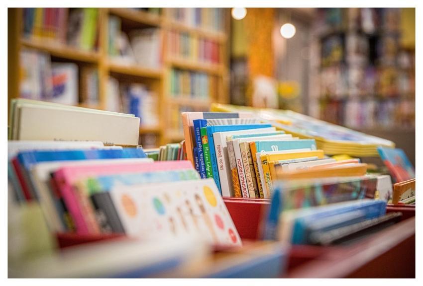 Books Library Bookshelves Bookstore