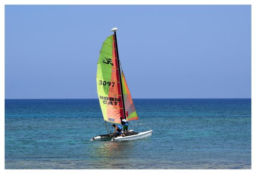 Catamaran Boat Sailing Sail